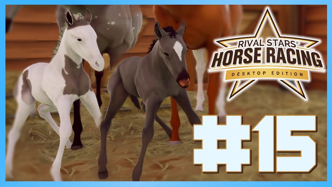 STUNNING NEW FOALS! - Rival Stars Desktop Edition (Gameplay Walkthrough) Episode #15