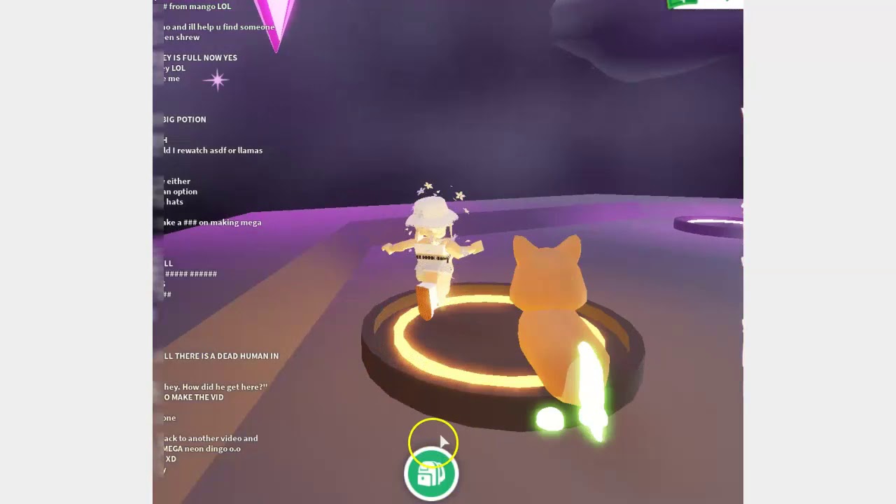 Making Mega Neon Dingo!