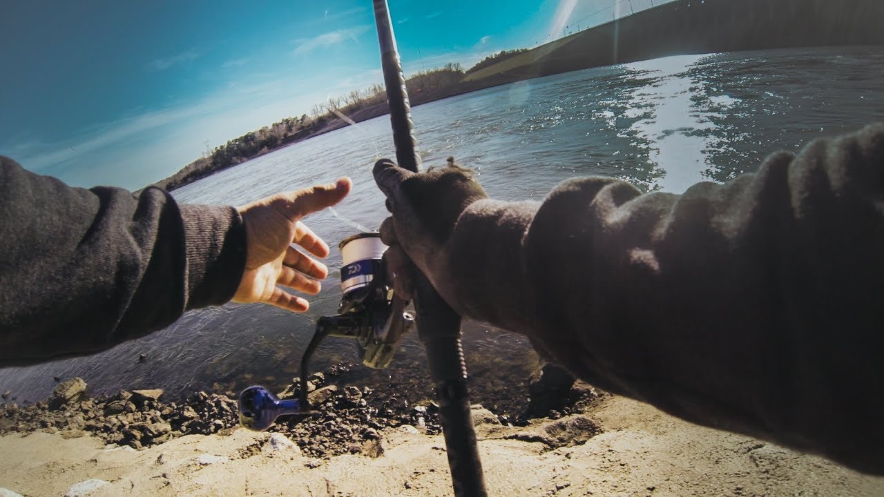 Carolina Rigging flukes for Stripers! - 4k - OOW Outdoors