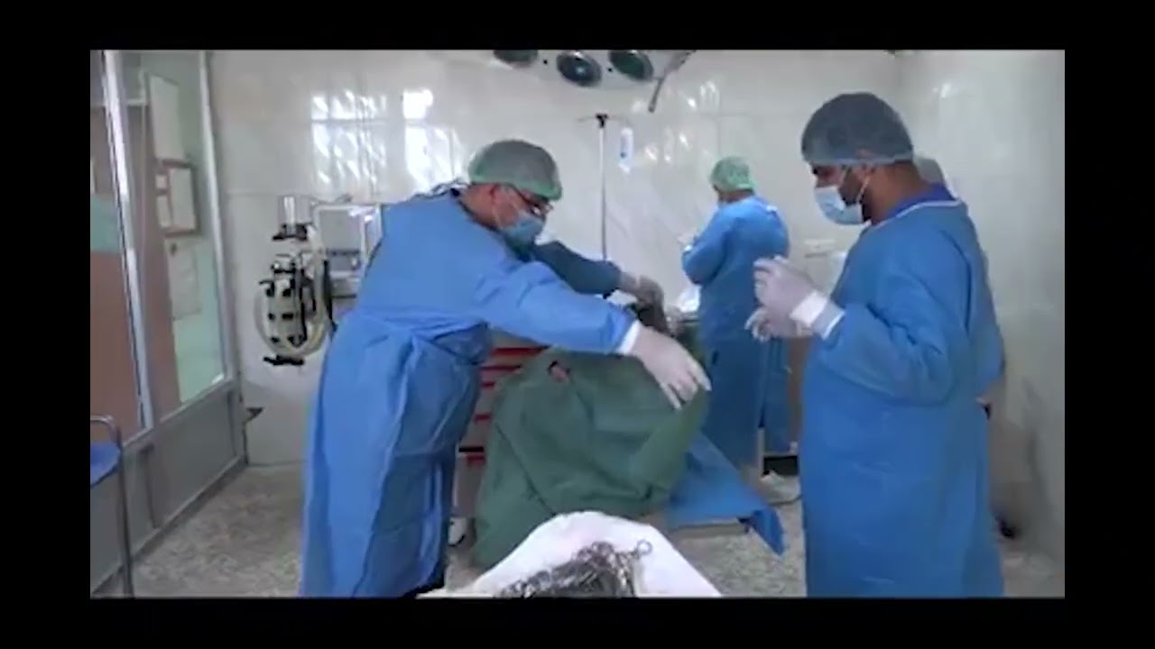 فلم تعريفي عن كلية الطب البيطري