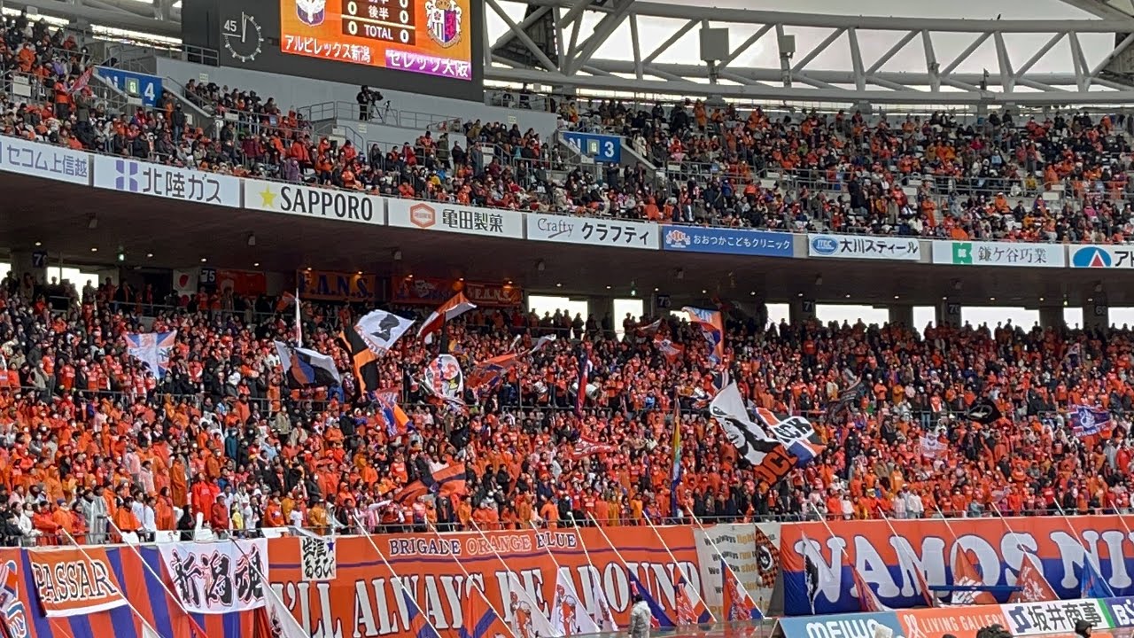 【2023 新潟×C大阪】チャント「Sombrero」（2023年J1第34節 アルビレックス新潟×セレッソ大阪）