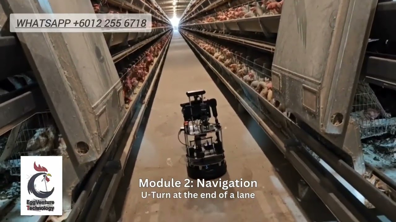 Introducing an AI-Powered Robot for Automated Egg Counting at Layer Farms