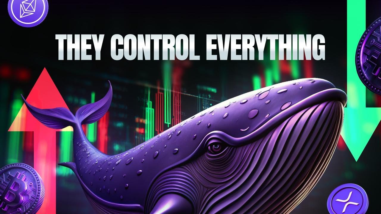 Crypto Whales: How they control the Market