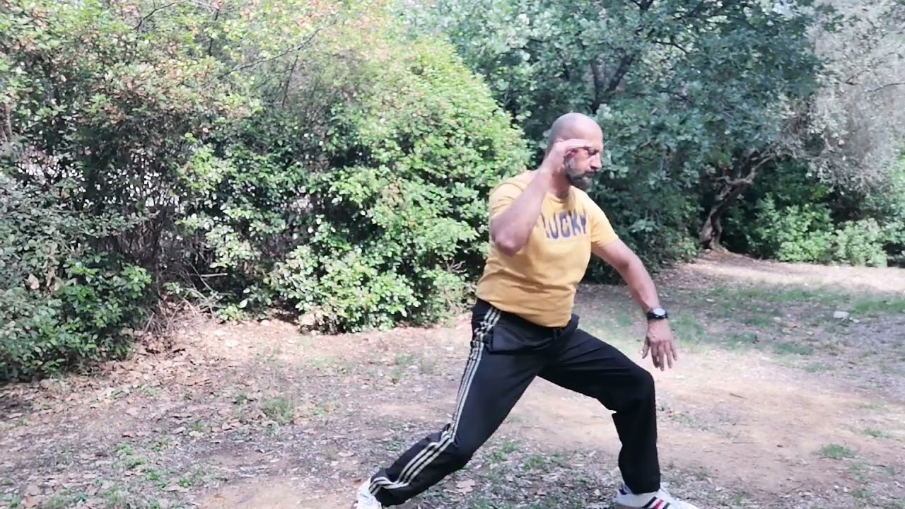Taijiquan spazzolare il ginocchio, Tai chi Firenze