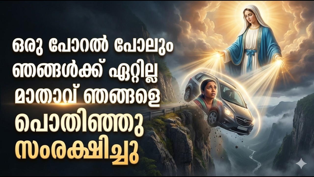 ഞങ്ങളുടെ കാർ നിയന്ത്രണം വിട്ട് നാനൂറടി താഴ്‌ചയിൽ കൊക്കയിലേക്ക് മറിഞ്ഞു ആരും രക്ഷപ്പെടില്ല എന്ന്കരുതി