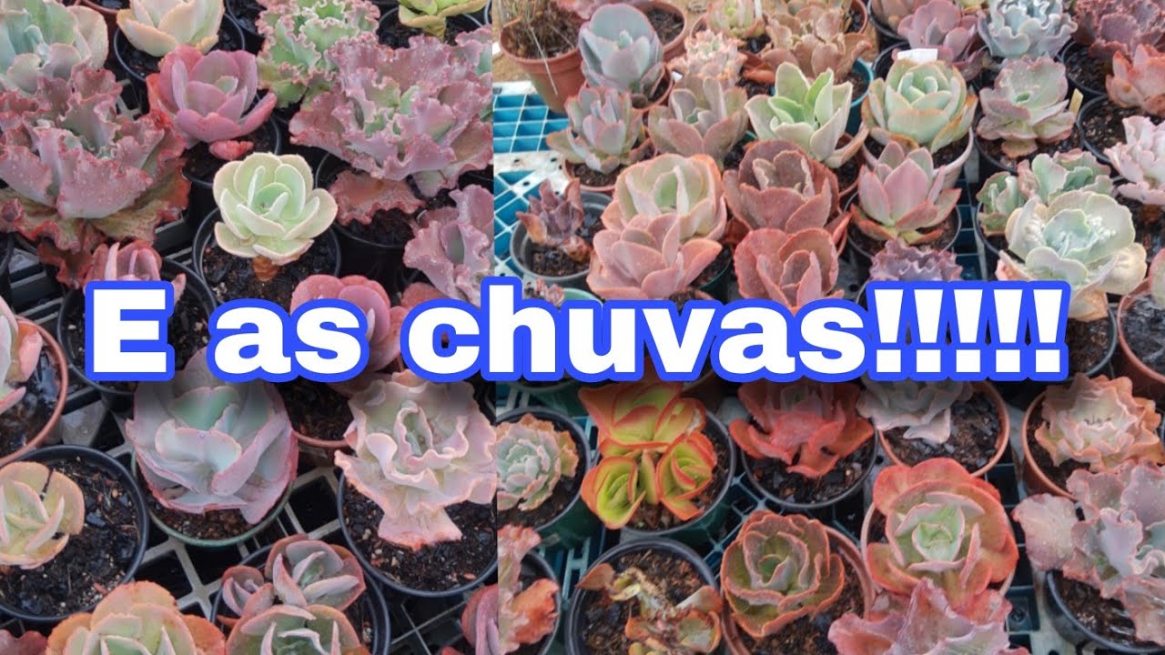 E a chuva que não quer vir!!!