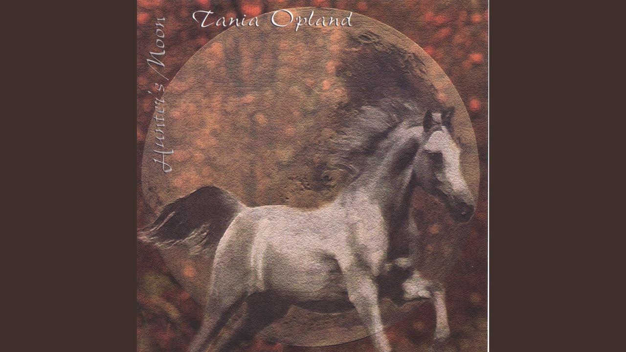 Chi mi na Morbheanna