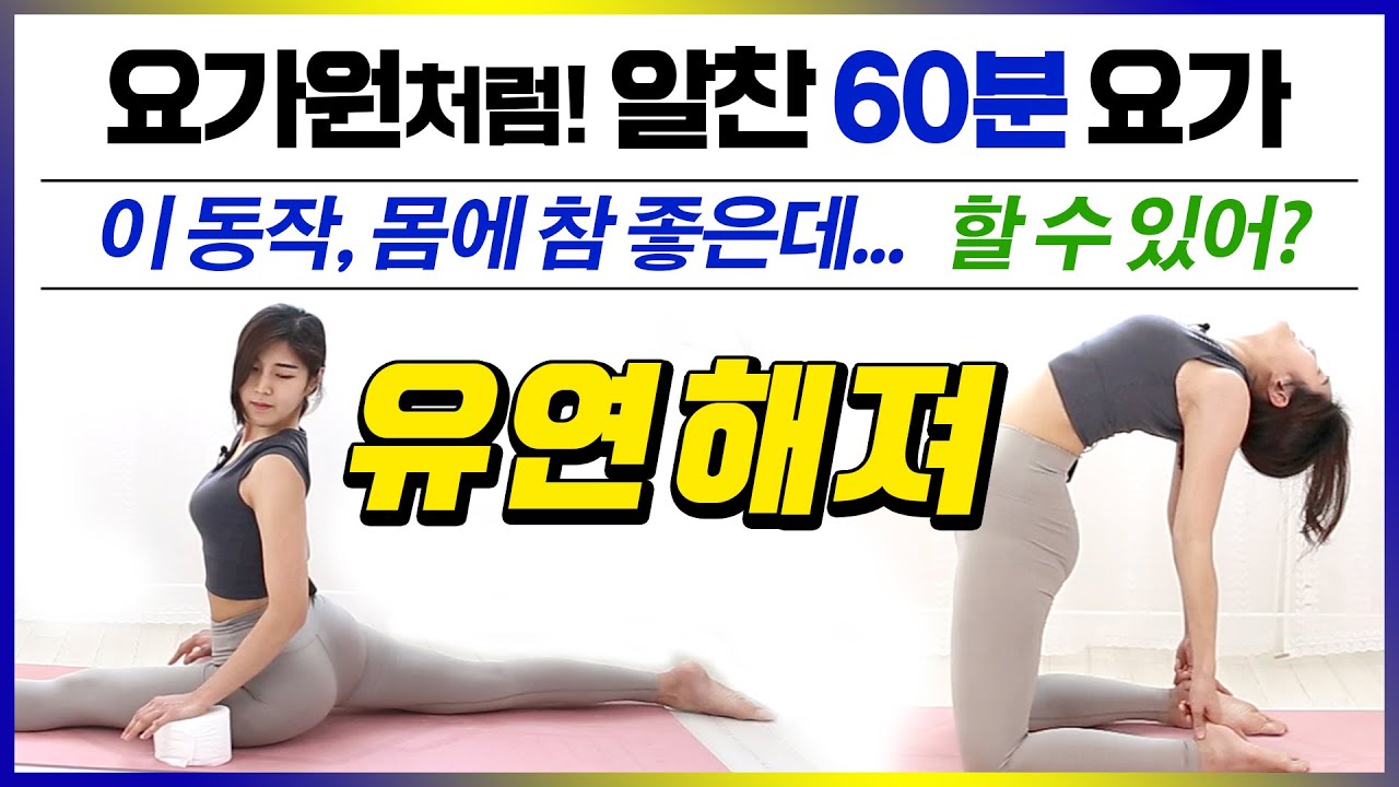 뻣뻣한 몸! 유연성 기르는 스트레칭 요가 / 요가원 헬스장 60분요가