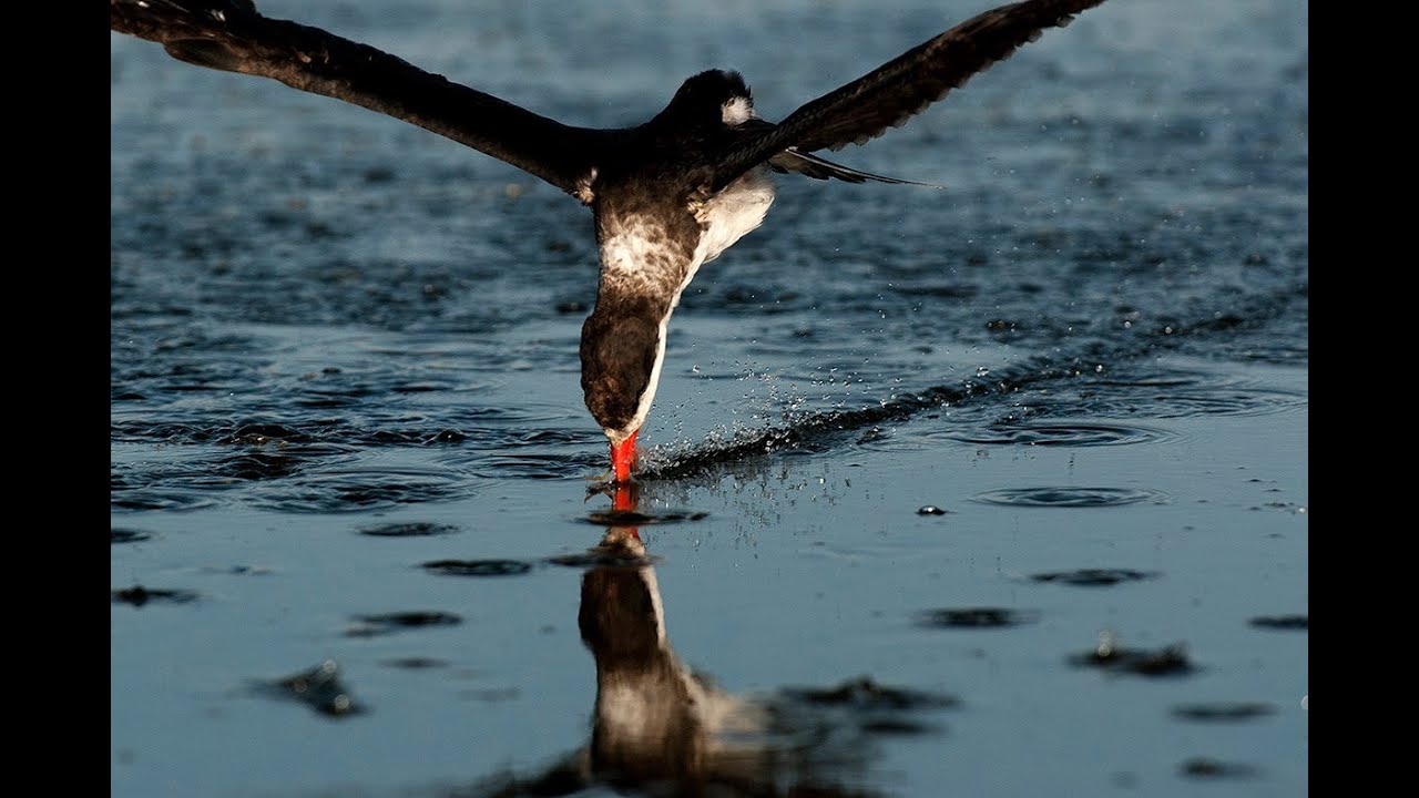 Travesias Fotograficas a La Costa de Perú