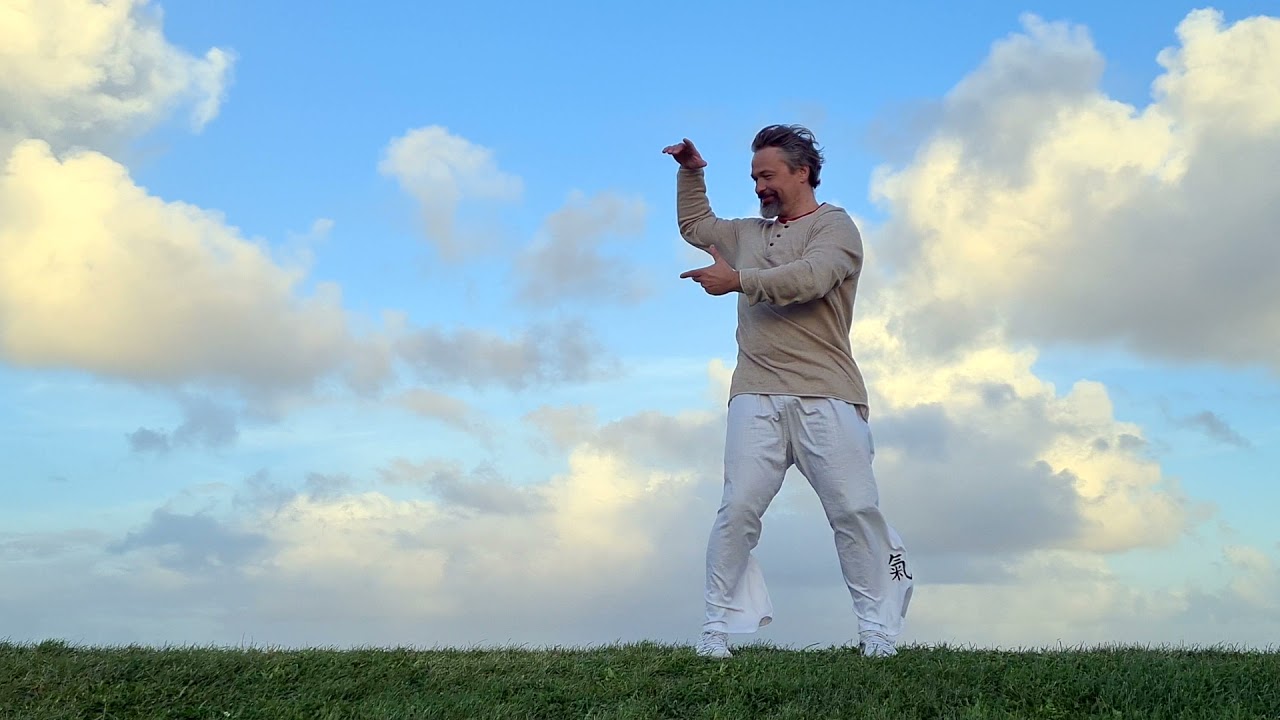 18 Bewegungen des Taiji Qigong - DEN MOND SCHAUEN - Shibashi zum Mitmachen - mit Konstantin Rekk