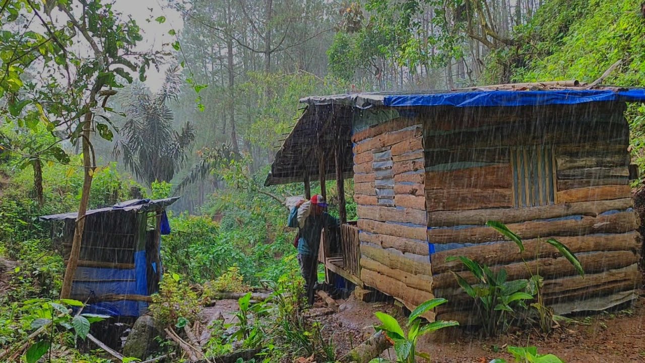 Ketakutan 😱 Di Guyur Hujan Deras Dan Petir 🌧️ - Tinggal Di Pondok Hutan - Memasak Jantung Pisang