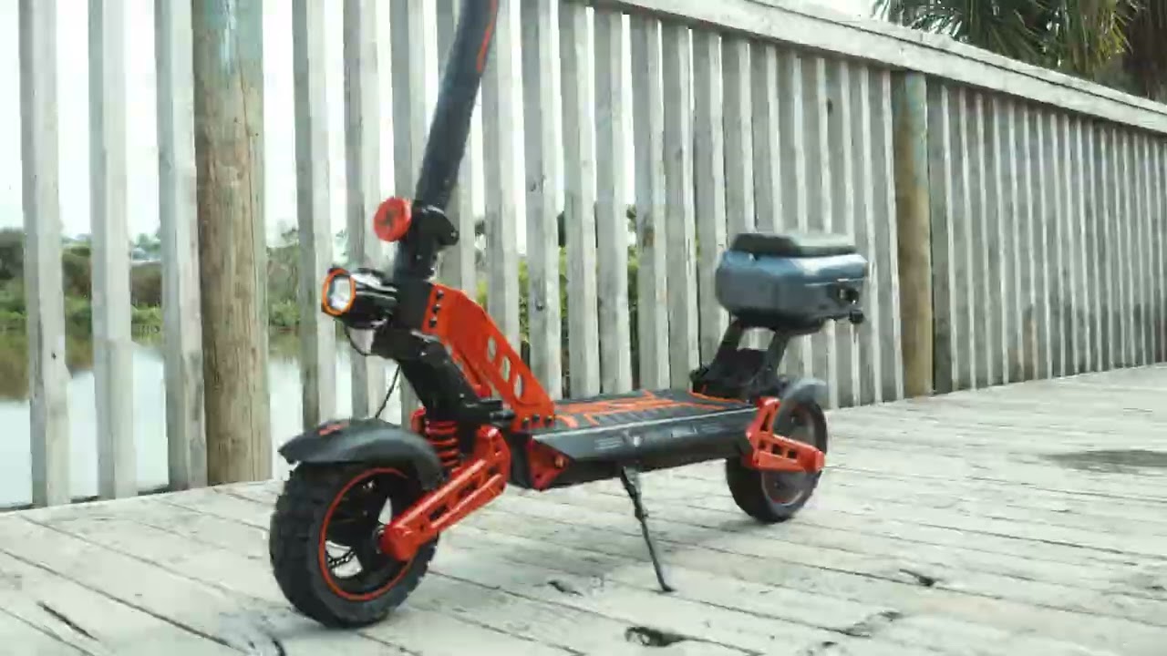 Honey Whale Electric Scooter T4B-N