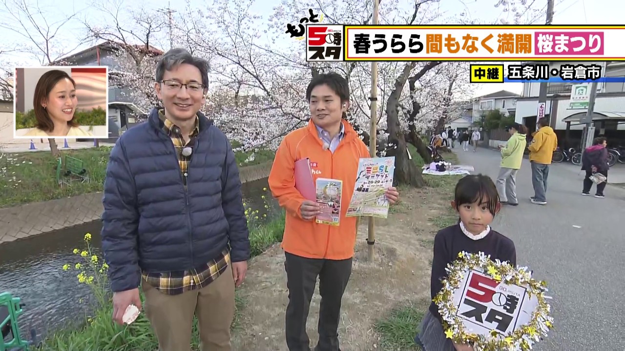 【もうすぐ満開！】岩倉桜まつり│突撃ライブ【もっと5時スタ】(ライブ配信アーカイブ)