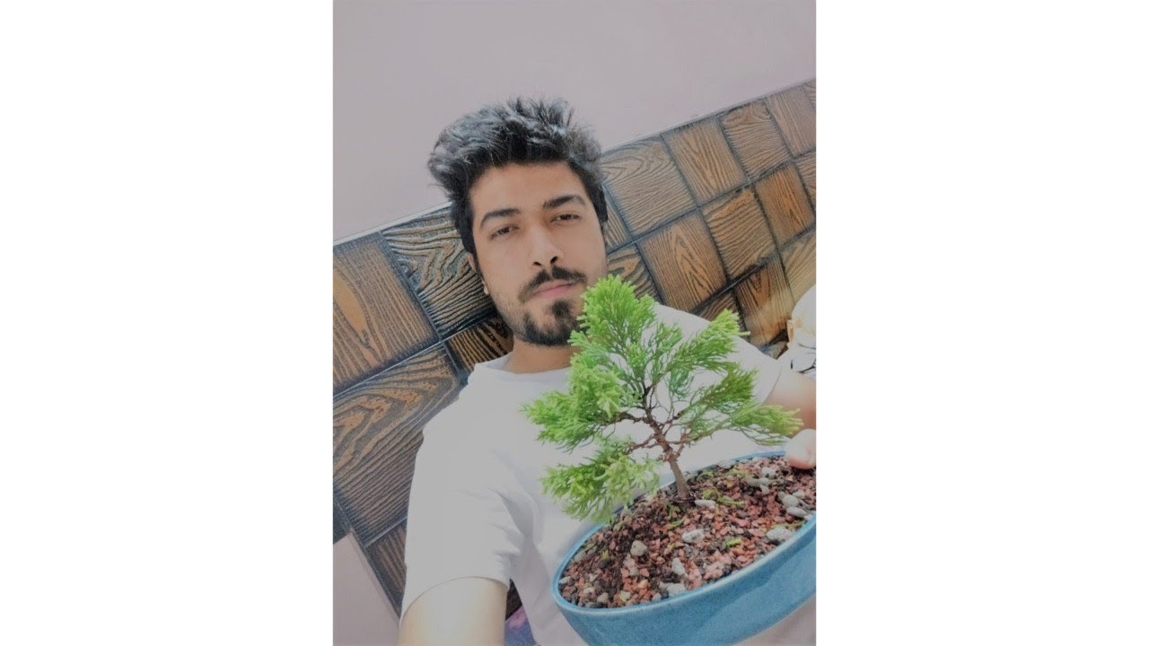 Making Small Cypress Bonsai | Repotting | Wiring | Pruning