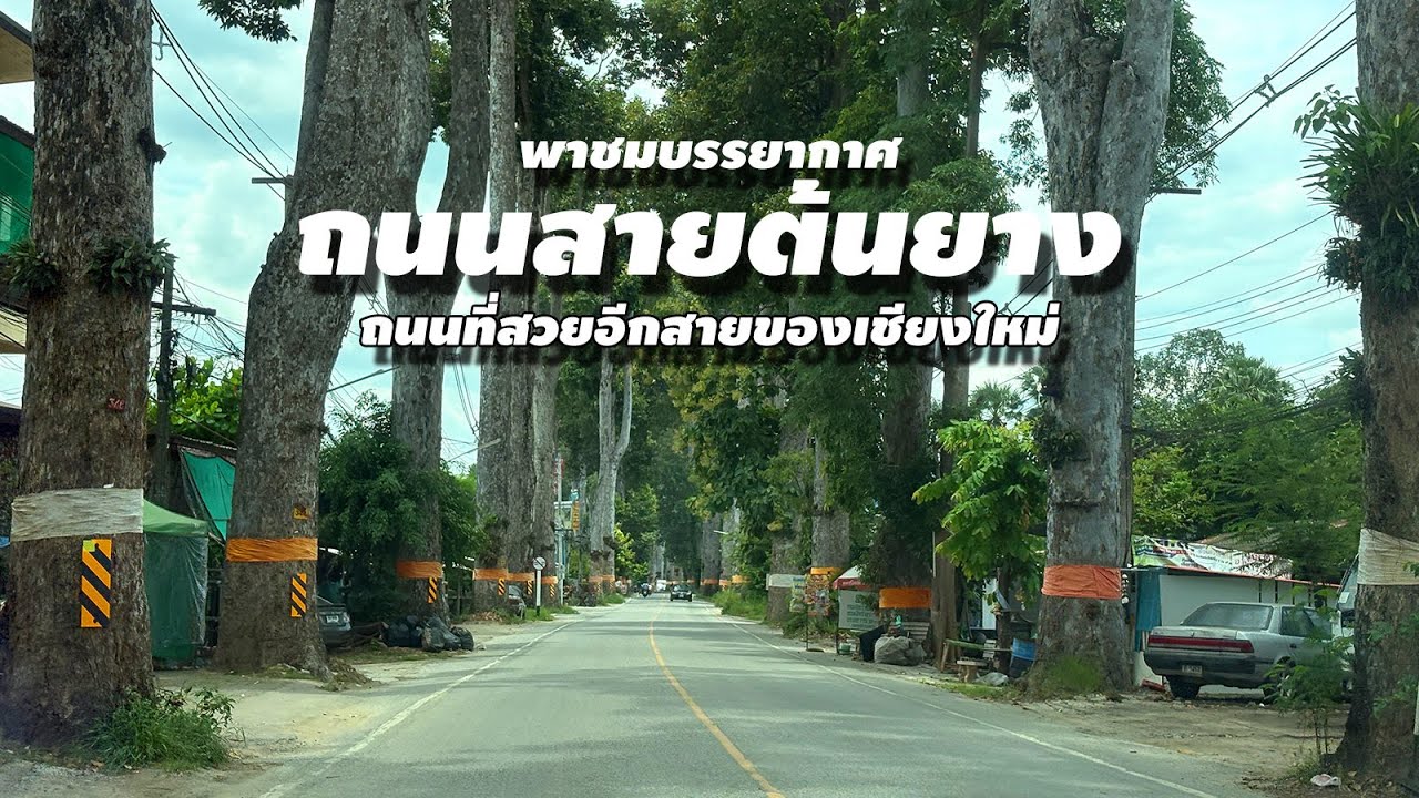 พาขับรถชมบรรยากาศ 