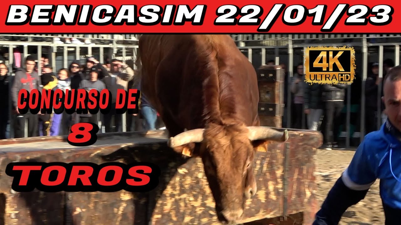 💯✅BENICASIM 22/01/2023