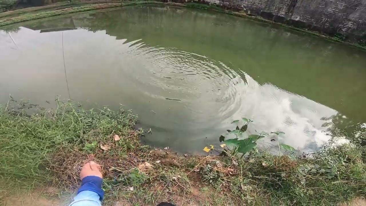 GoodCatch Pulse Baitcasting Rod | REVIEW