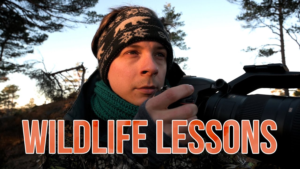 WILDLIFE PHOTOGRAPHY LESSONS || Camping Winter, Badger, Beaver, Fieldcraft