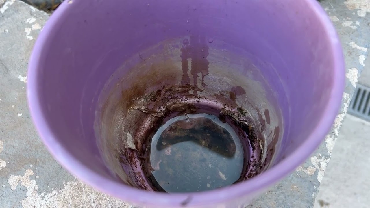 Vitrolles : l’ARS donne ses consignes face à l’augmentation du chikungunya.