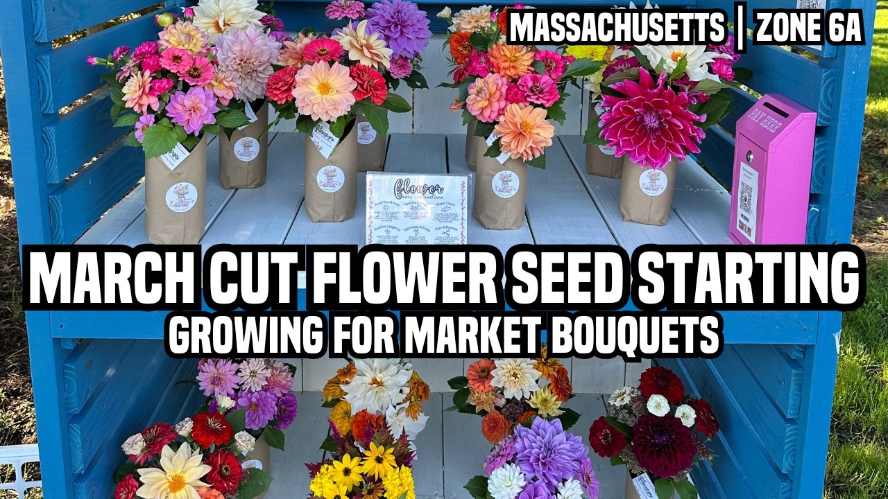 March Cut Flower Seed Starting | Growing for Market Bouquets For My Roadside Flower Stand