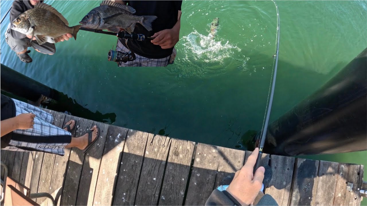 INSANE STRUCTURE FISHING ON 6lb FOR BLACK BREAM(smoked and busted off to many times)