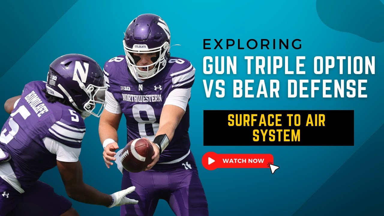 Gun Triple Option vs Bear Defense