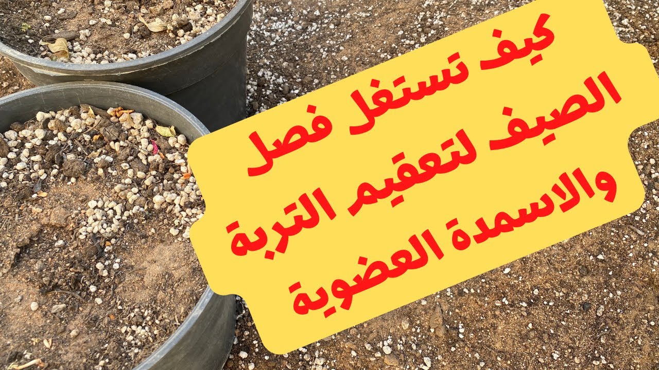 أهمية استغلال أشهر الصيف لتعقيم التربة والأسمدة العضوية وتجهيزها للزراعة بالموسم الجديد 2022