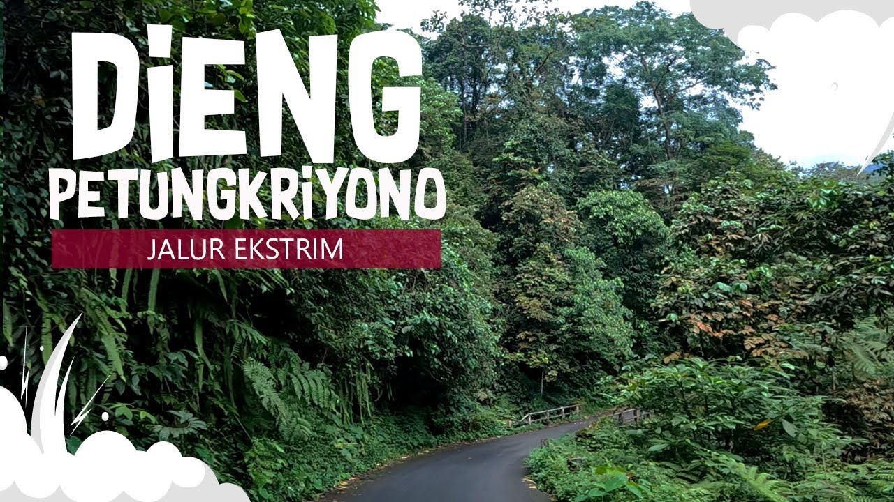Jalur Ekstrim Menuju DIENG  Lewat Hutan Tropis PETUNGKRIONO Jawa Tengah