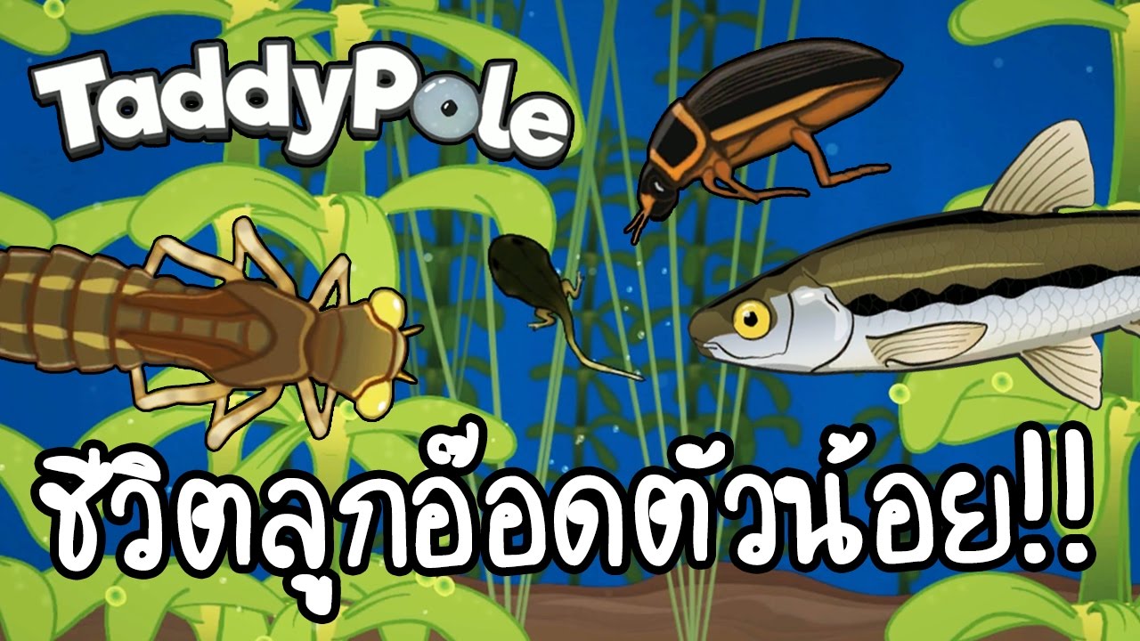 TaddyPole - ชีวิตลูกอ๊อดตัวน้อย!! [ เกมส์มือถือ ]