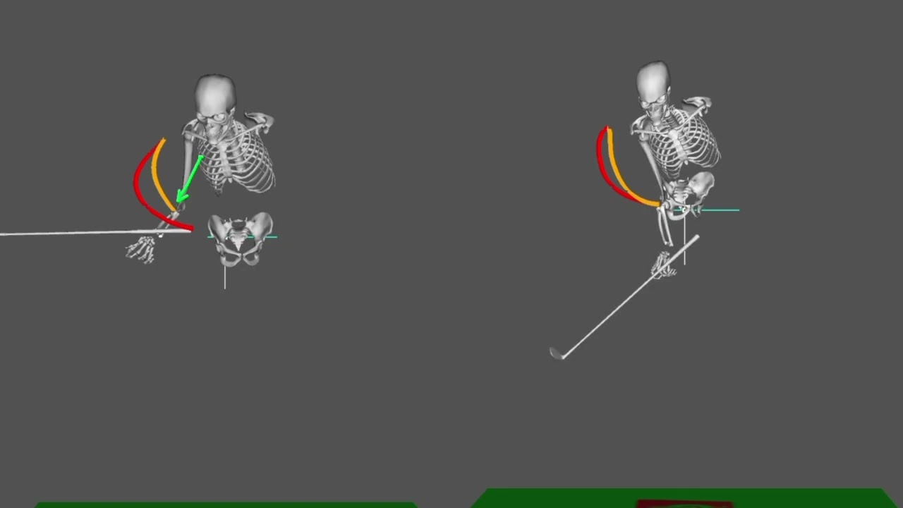 3D traits of elite players in the trail elbow at impact phase
