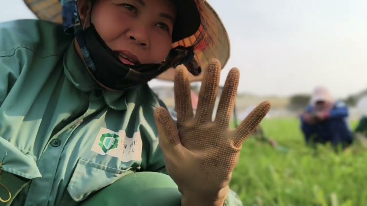 Một ngày đi làm vui vẻ