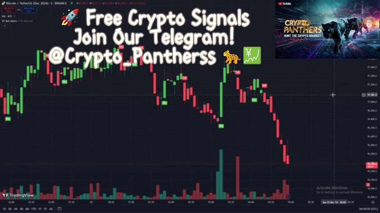 Indicator Setup I Use on My Charts  