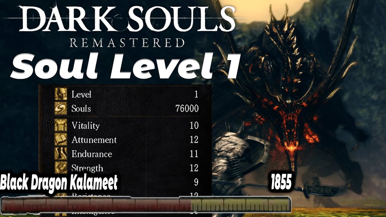 I beat Dark Souls Remastered without Leveling Up