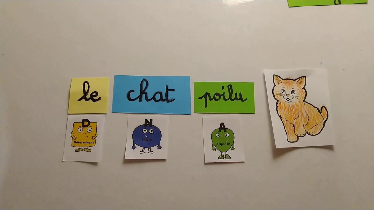 Les adjectifs qualificatifs CE1: découverte