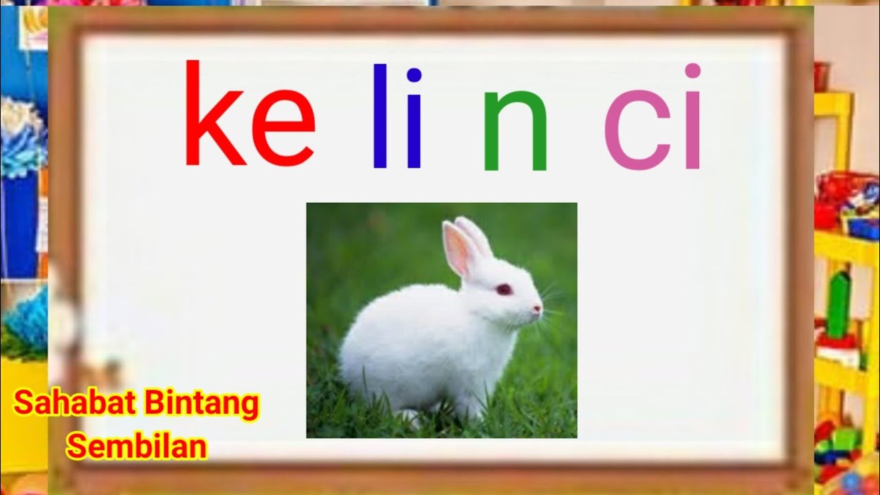 Belajar Membaca/Membaca Tema Binatang/Belajar Membaca Untuk Anak Tk, Paud, SD