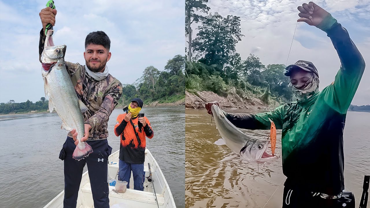 Pescando el pez vampiro en un paraíso, un rio muy hermoso para pescar