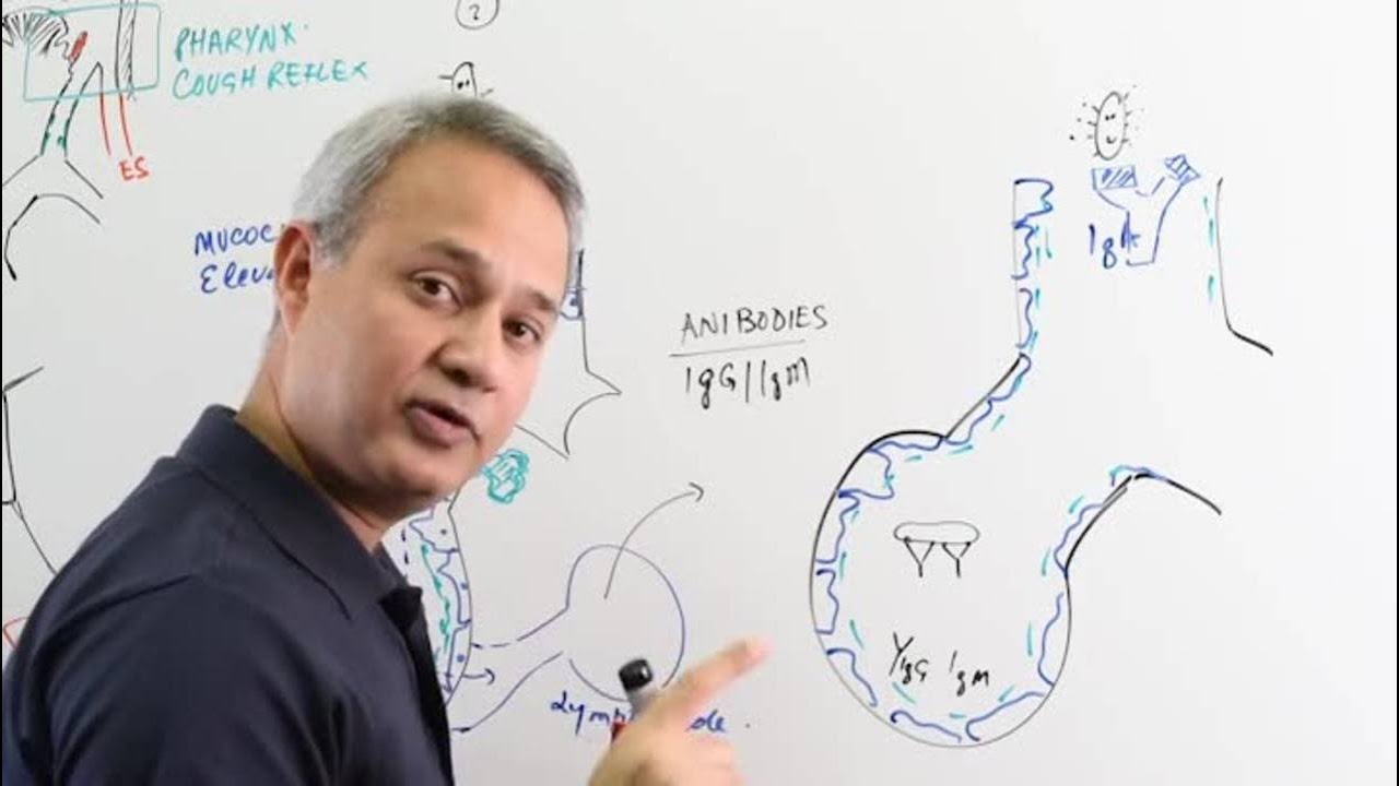 Пневмония – защитные механизмы организма