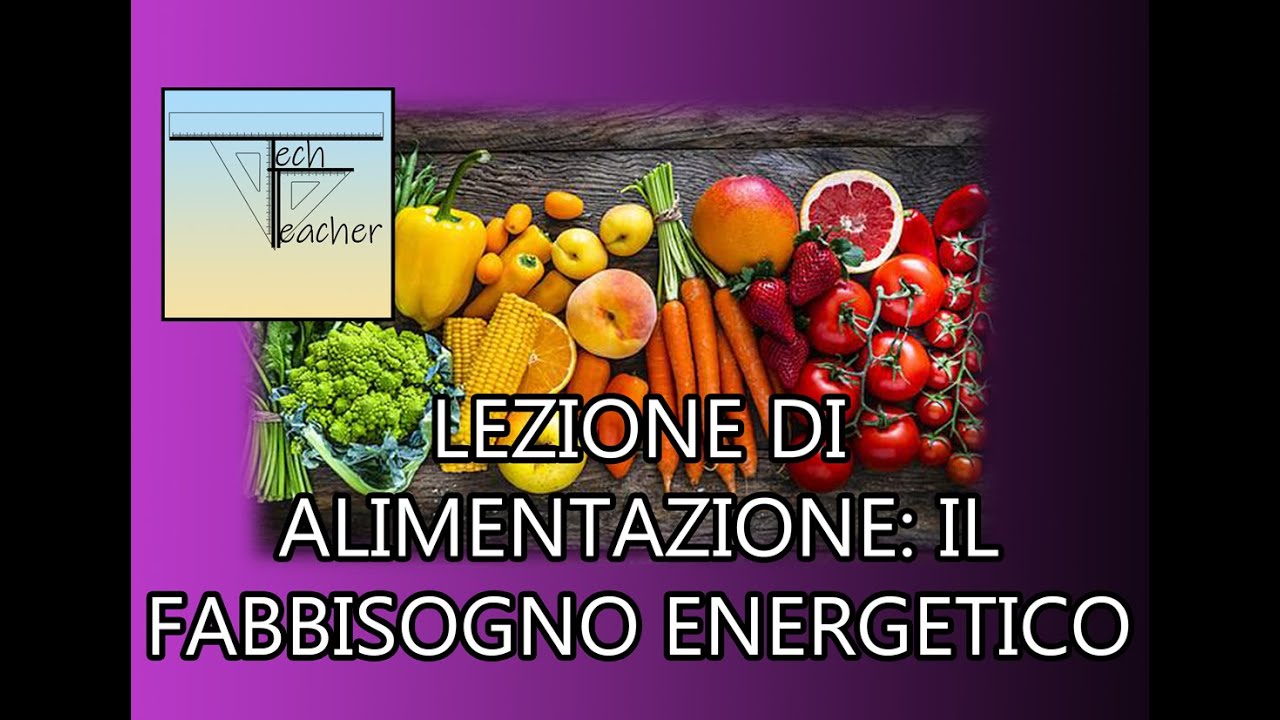 📖Lezione sull'alimentazione: il fabbisogno energetico💻