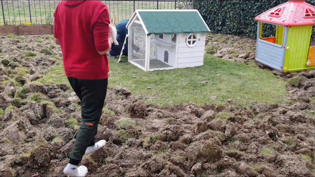 Ahşap dış mekan tavşan kulübesi kuruyoruz,tavşan evi,bahçede tavşan beslemek