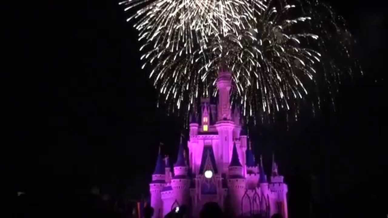- Wishes -   Walt Disney World Magic Kingdom ウォルト・ディズニー・ワールド　マジックキングダム　花火ショー