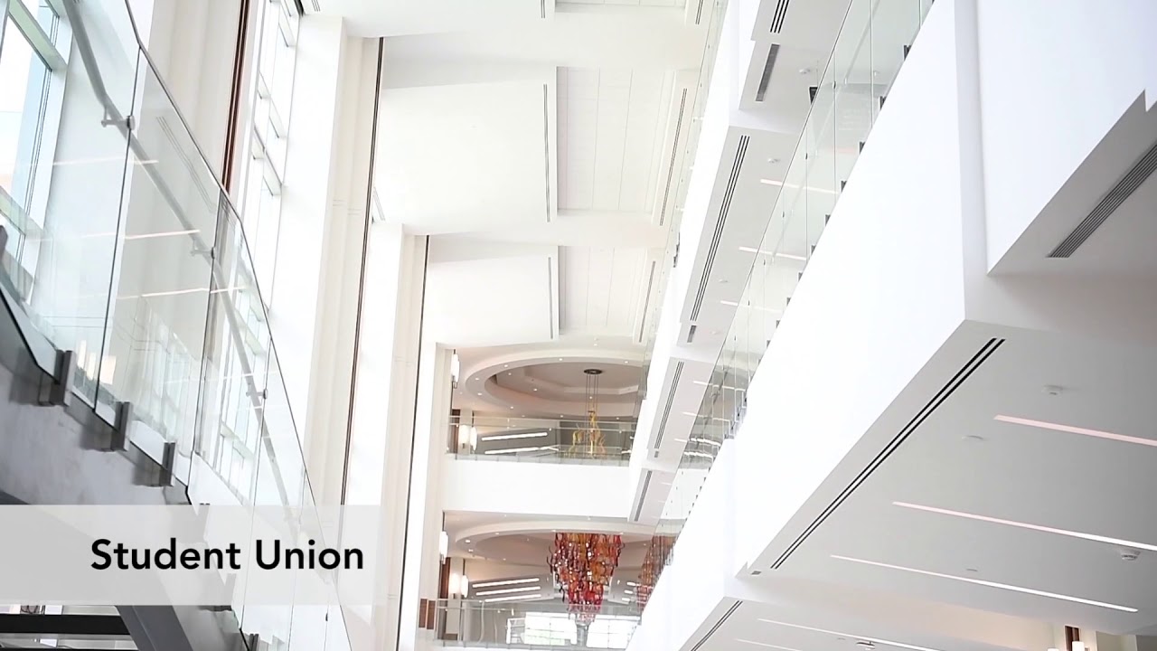 Take a walk in the steps of a University of Tennessee freshman