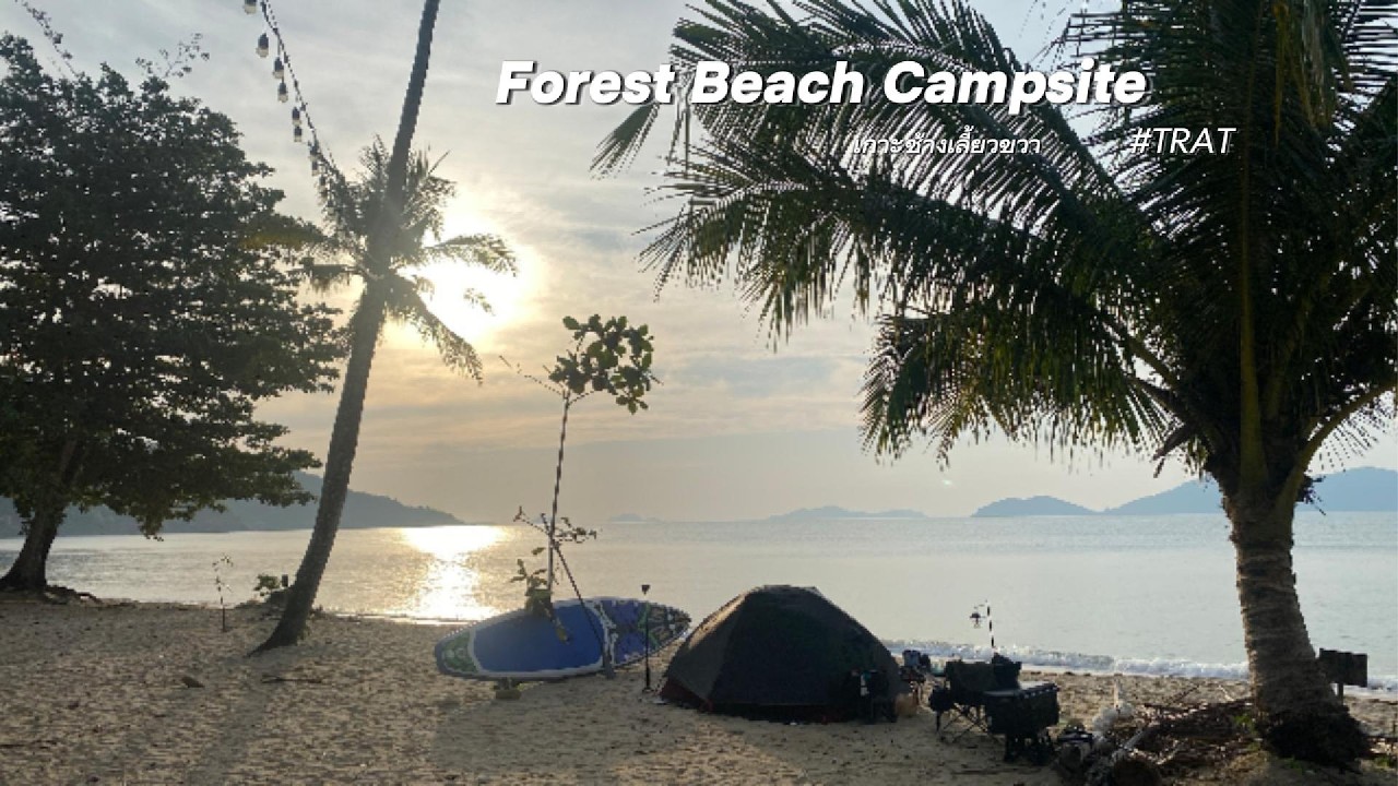 #8.1 ติดเกาะ เกาะช้างเลี้ยวขวา Forest Beach Campsite น้ำตกคลองพลู  | 4วัน3คืน | Jan2026 | ใช้ให้คุ้ม