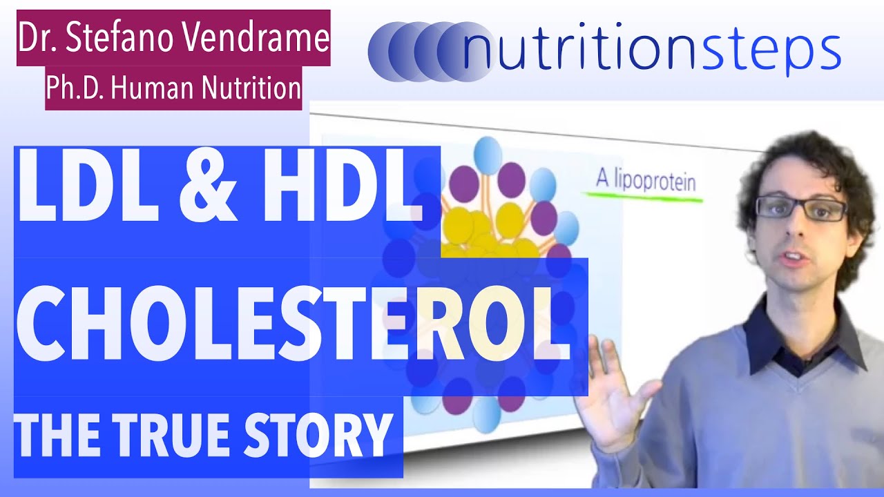 The True Story of LDL and HDL Cholesterol