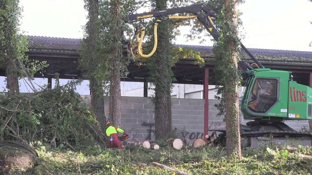 Neuson hvt 132 logmax 4000 Lutz