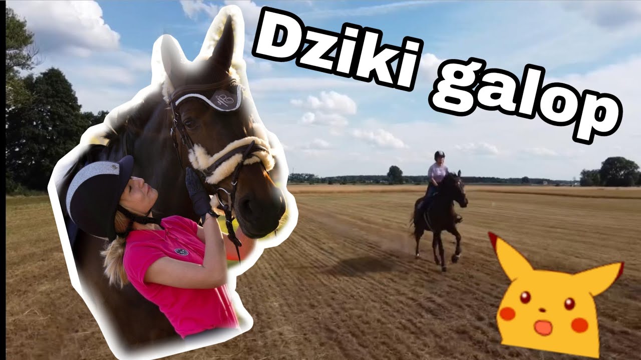 STAJENNY VLOG #2 - TRENING I TEREN Z DRONA 😱🙈😍