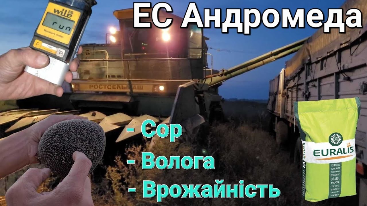 🌻Збирання урожаю. Скільки сипе Соняшник 🌻ЕС Андромеда?