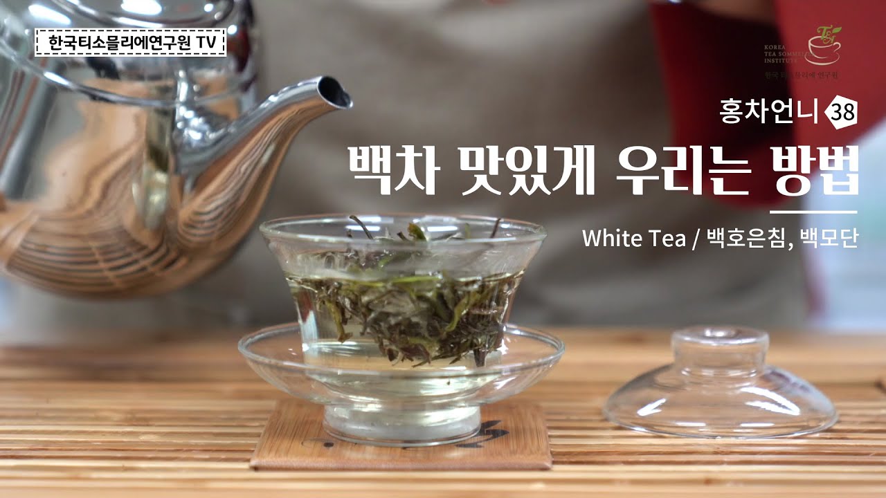 백차(白茶) 우리는 방법 feat.백호은침,백모단 / How to brew White Tea - Baihao Yinzhen, Bai Mudan #홍차언니 #한국티소믈리에연구원TV