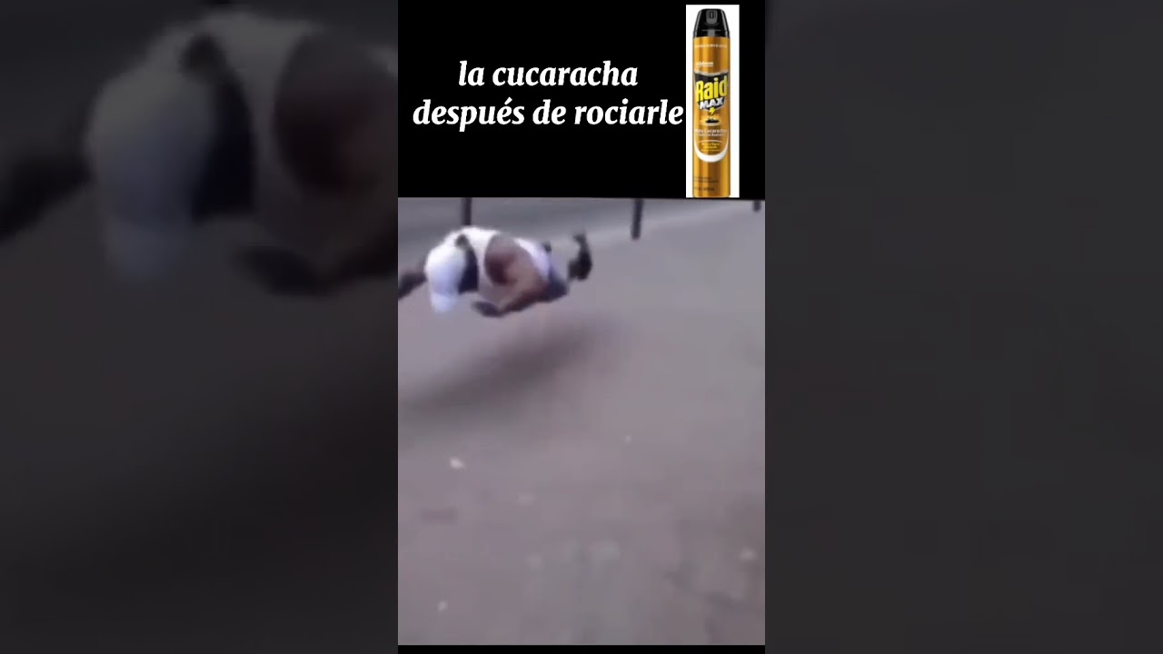 El Shitpost mas gracioso #shorts #dankmemes #shitpostespa&ntilde;ol #momos #shitpost #momazo #Shitposting