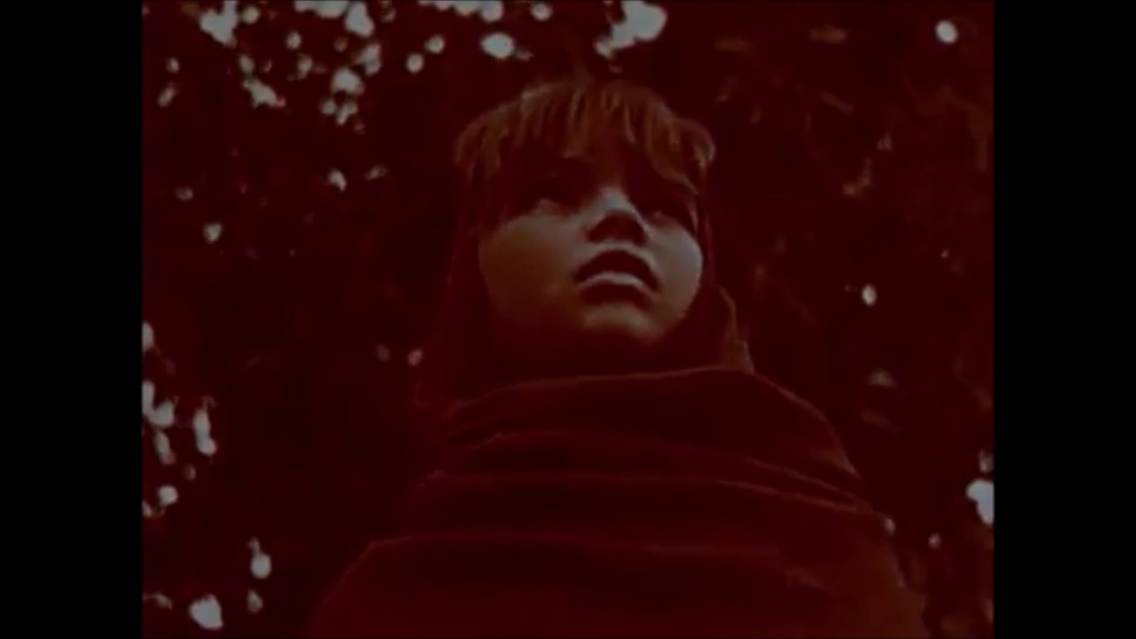 Niño de Elche - El Comunista