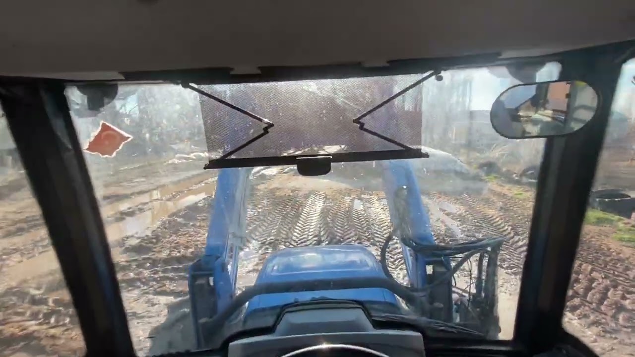 Hayvanlara yem karıyorum / günlük vlog#1